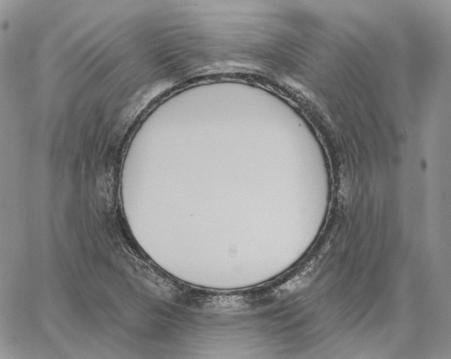 X0000062841313200602031552