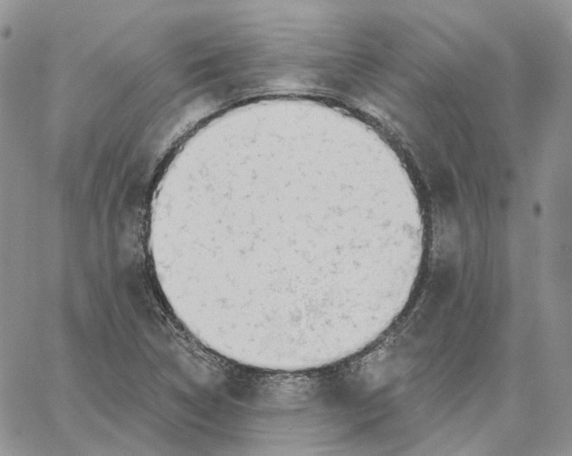 X0000062841314200602031552