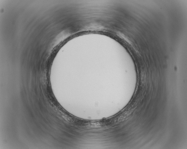 X0000062841315200602031552