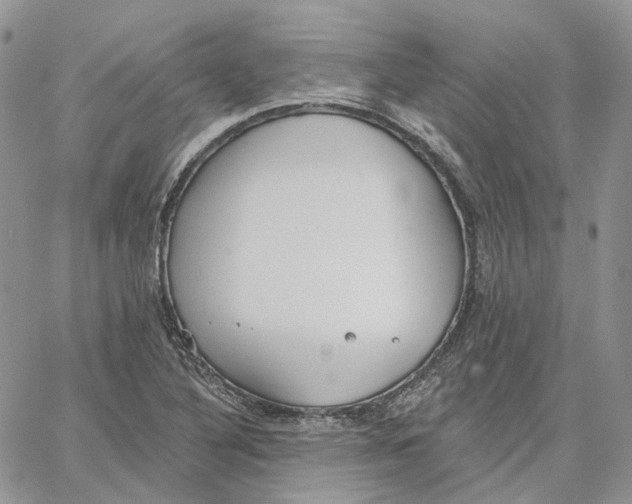 X0000062841316200602031552