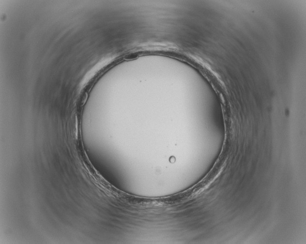 X0000062841317200602031552