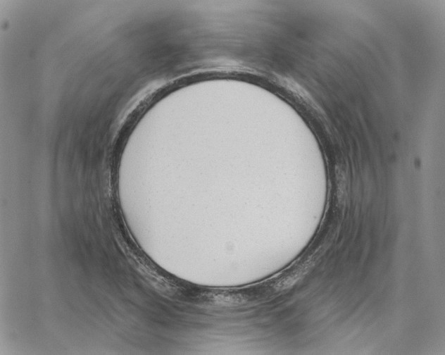 X0000062841318200602031552