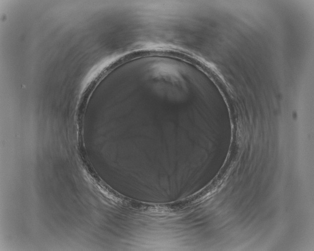 X0000062841319200602031552