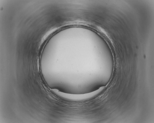 X0000062841320200602031552