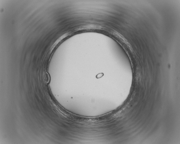 X0000062841321200602031552