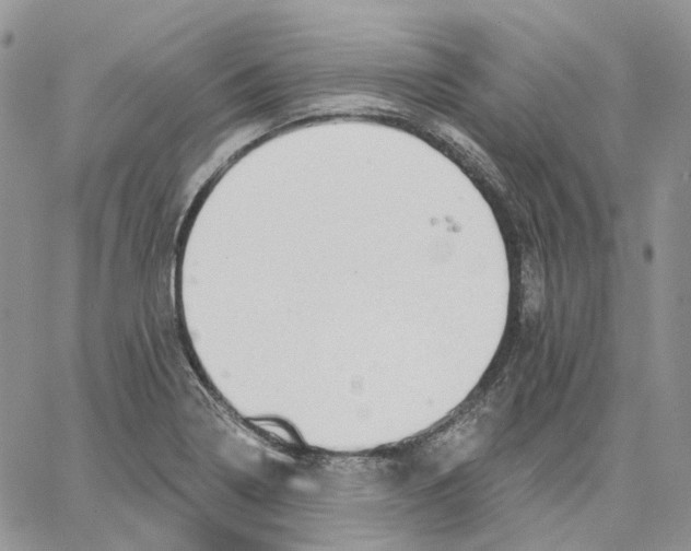 X0000062841322200602031552