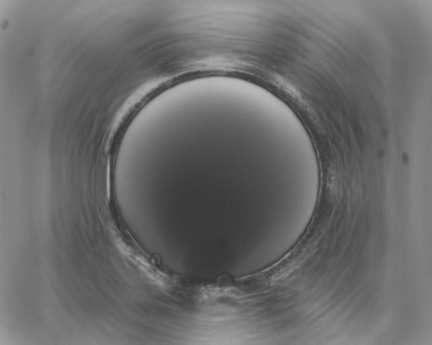 X0000062841323200602031552