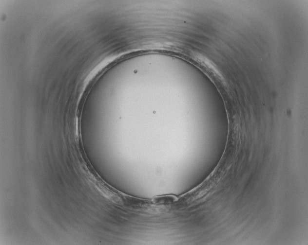 X0000062841324200602031552