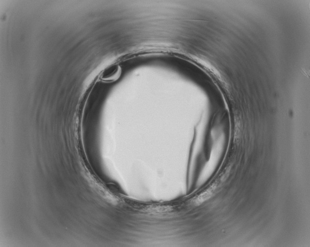 X0000062841325200602031552