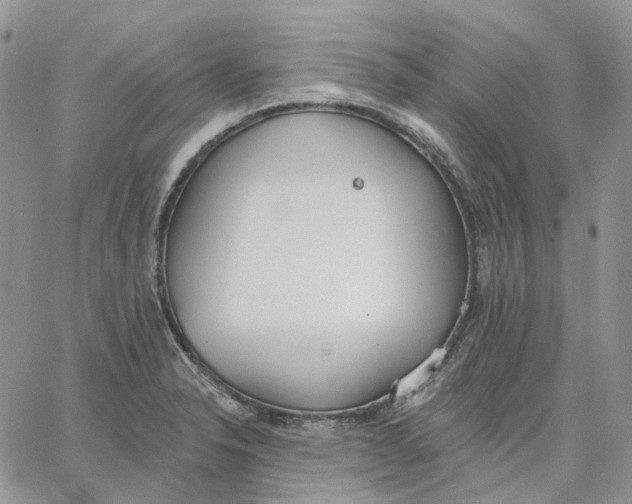 X0000062841326200602031552