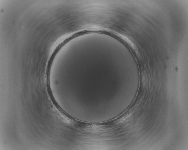 X0000062841327200602031552