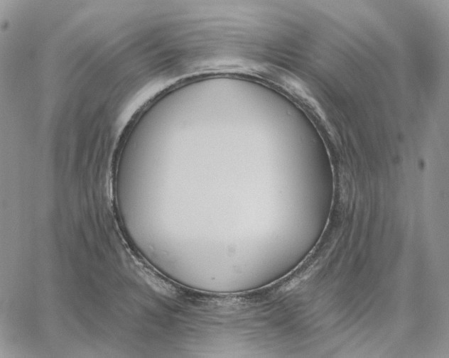 X0000062841328200602031552