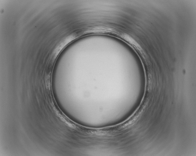 X0000062841329200602031552