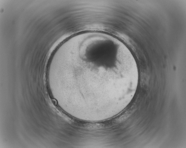 X0000062841331200602031552