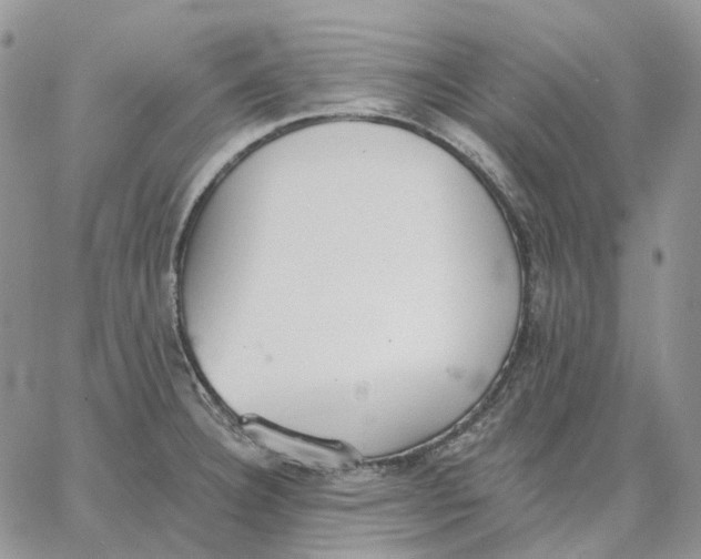 X0000062841332200602031552