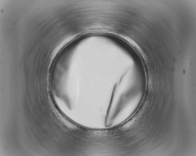 X0000062841333200602031552