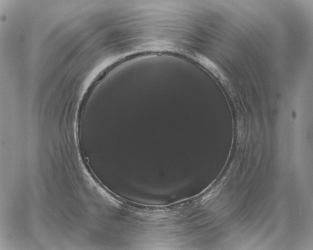 X0000062841334200602031552