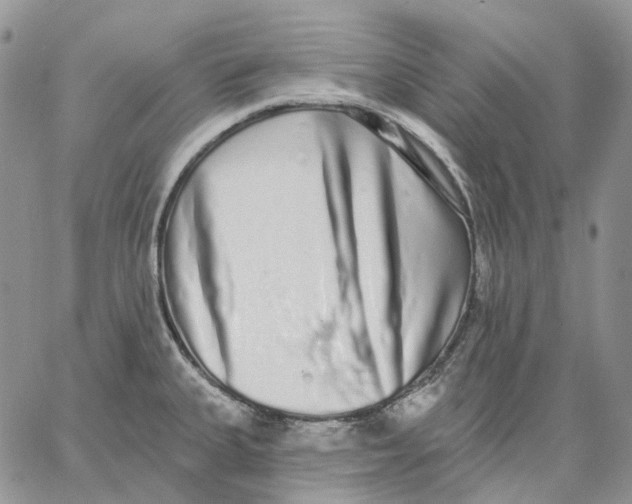 X0000062841335200602031552