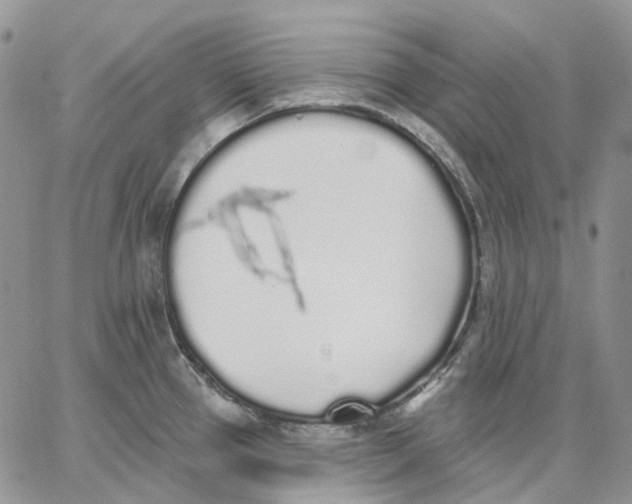 X0000062841337200602031552