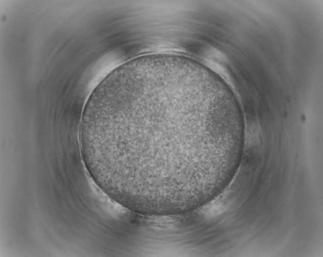 X0000062841338200602031552