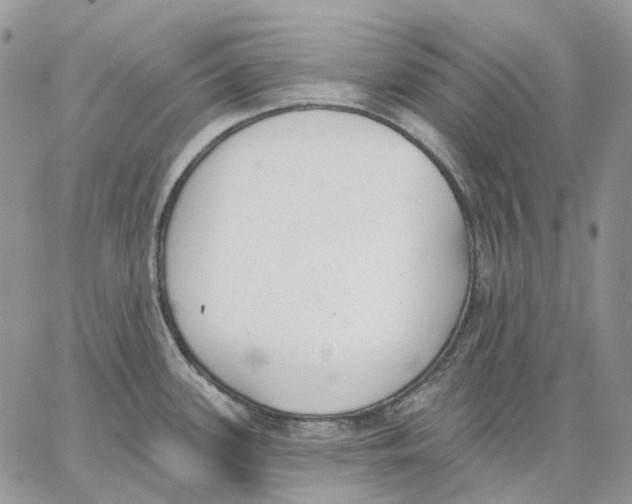 X0000062841339200602031552