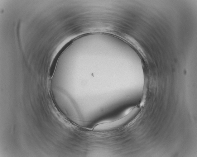 X0000062841340200602031552