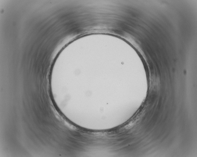 X0000062841341200602031552