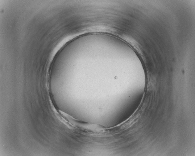 X0000062841342200602031552