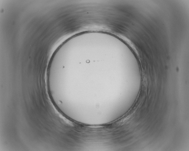 X0000062841343200602031552