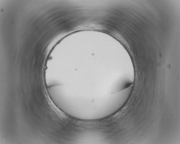 X0000062841344200602031552