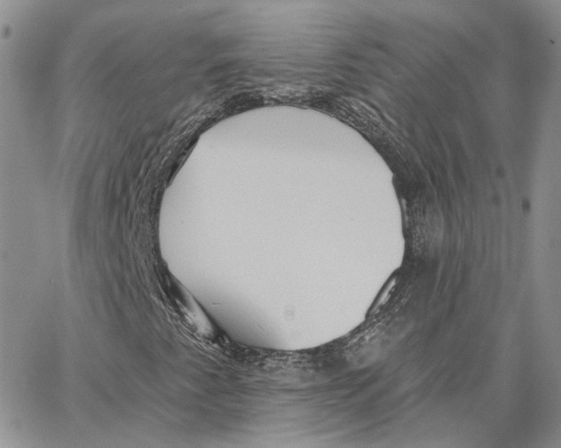 X0000062841345200602031552