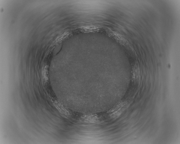 X0000062841346200602031552