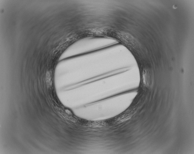 X0000062841347200602031552