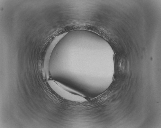 X0000062841348200602031552