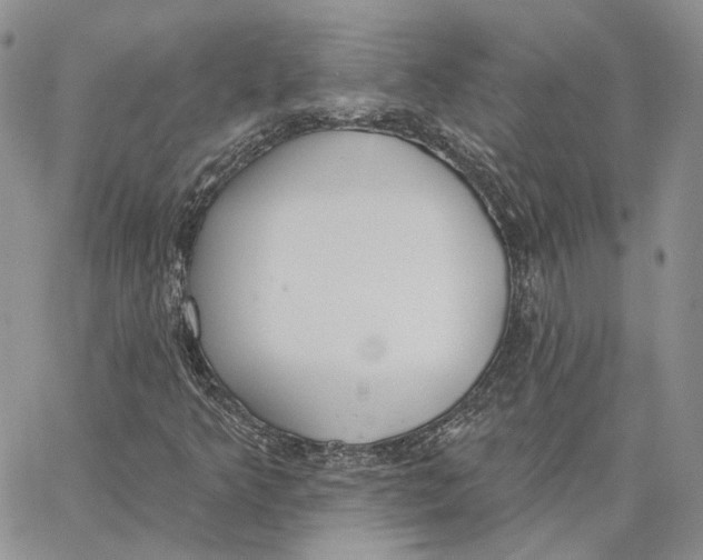 X0000062841349200602031552