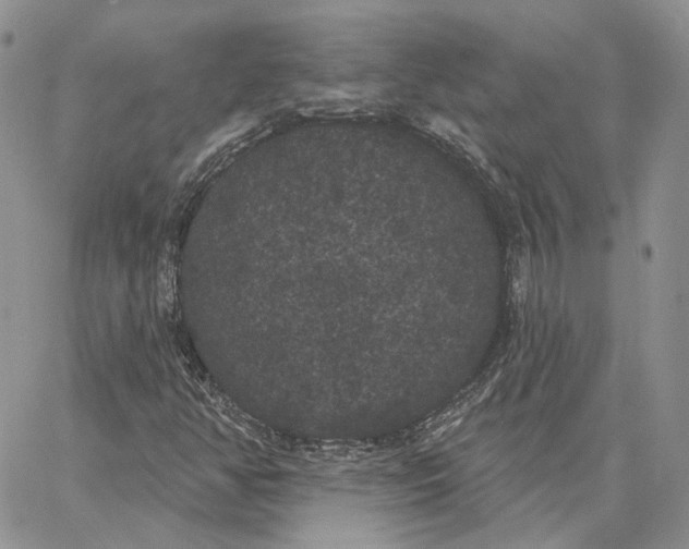 X0000062841350200602031552