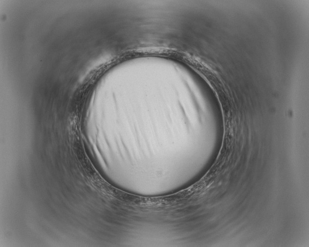 X0000062841351200602031552