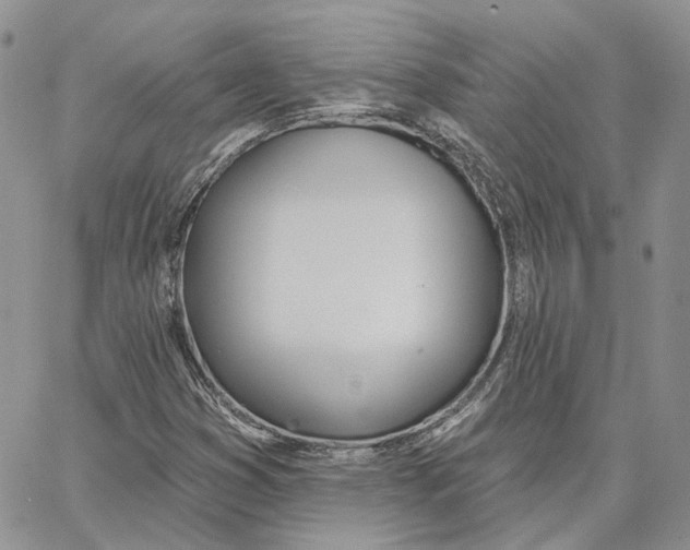 X0000062841353200602031551