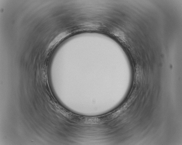 X0000062841354200602031551