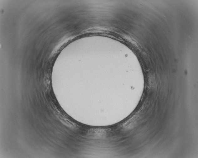 X0000062841355200602031551