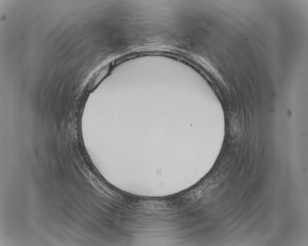 X0000062841356200602031551