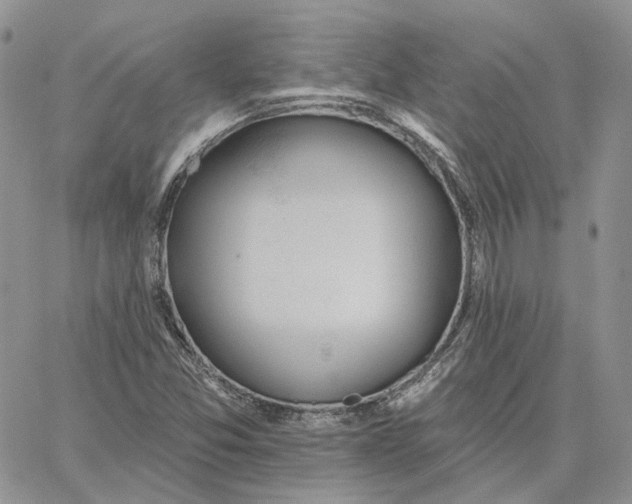 X0000062841357200602031551