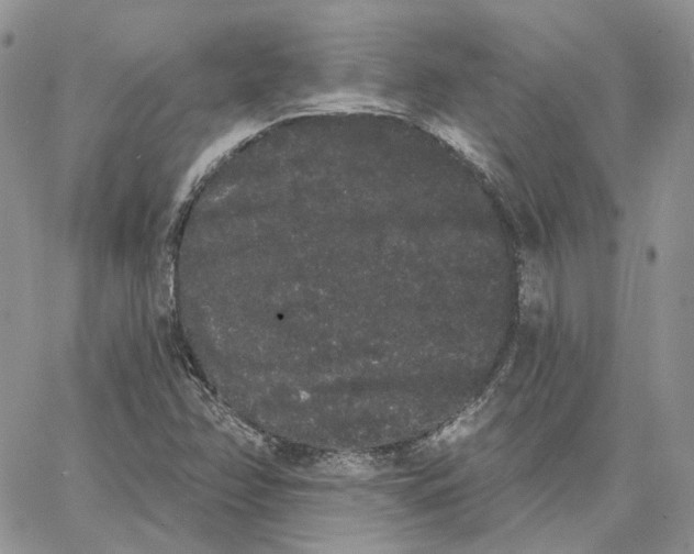 X0000062841358200602031551