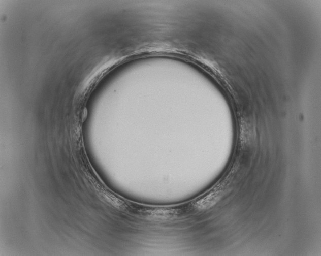 X0000062841359200602031551