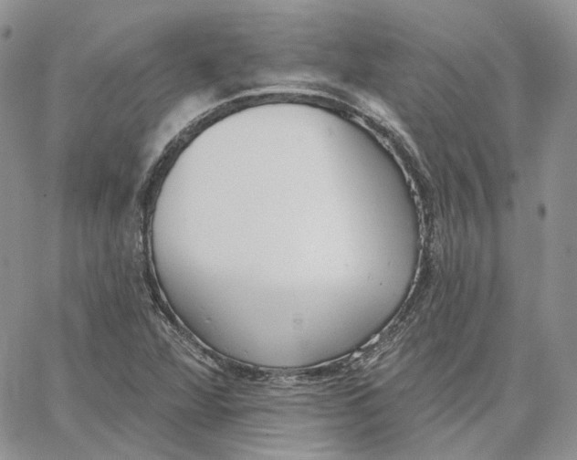 X0000062841360200602031551