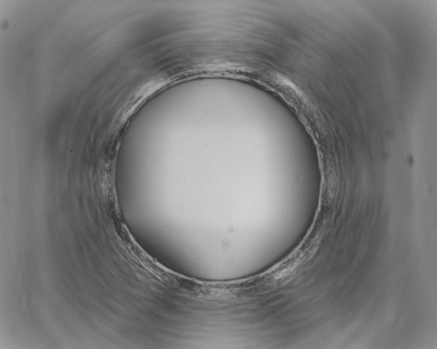 X0000062841361200602031551