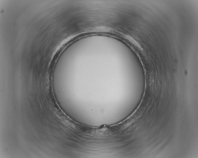 X0000062841364200602031551