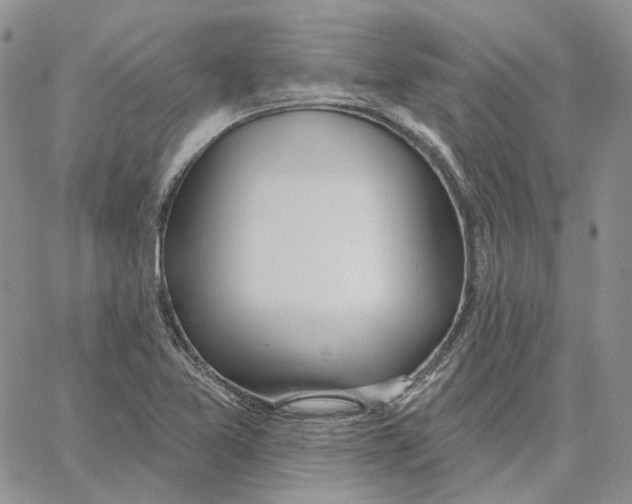 X0000062841365200602031551