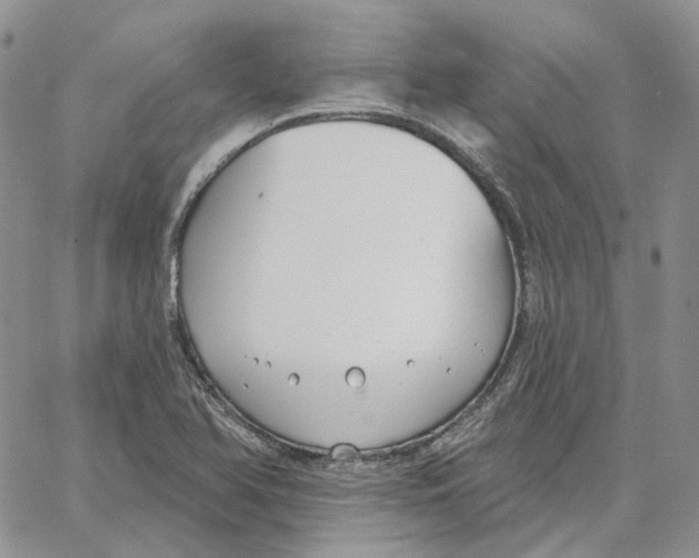 X0000062841366200602031551