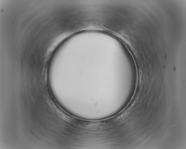 X0000062841367200602031551